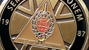 Detailansicht des Reservistencoin. Ein Bundeswehr Coin der Reserve
